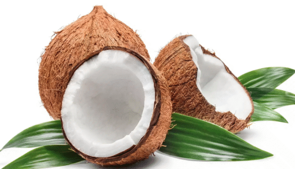 coconut